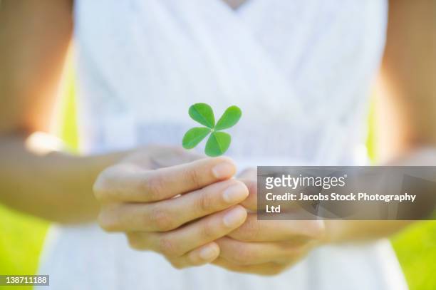 hispanic woman holding four-leaf clover - blessing stock-fotos und bilder