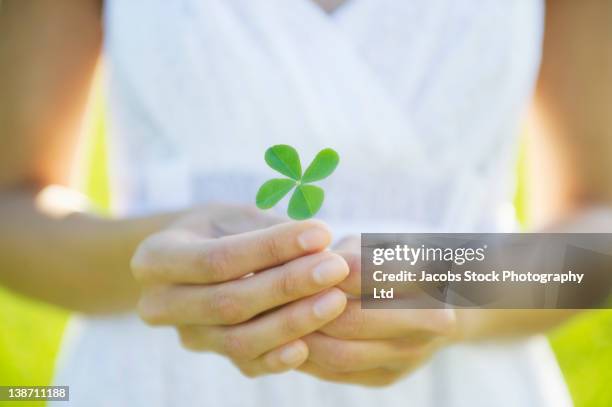 hispanic woman holding four-leaf clover - sorte imagens e fotografias de stock