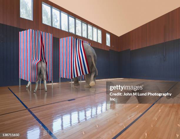 donkey and elephant voting in voting booths - democratic party united states stock pictures, royalty-free photos & images