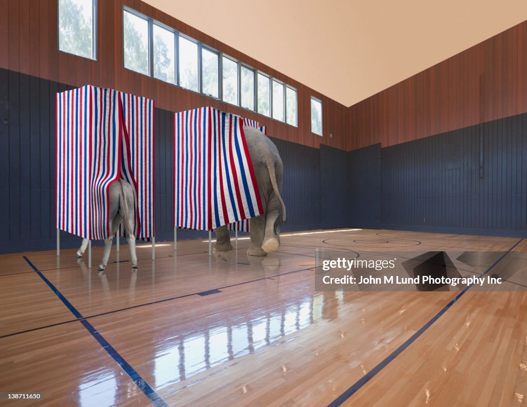Donkey and elephant voting in voting booths
