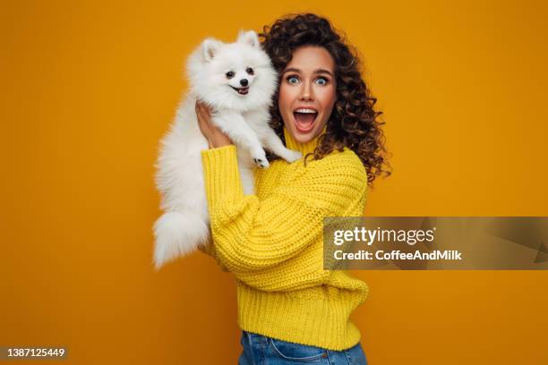 studioporträt eines lächelnden jungen mädchens mit kleinem hund - woman holding dog studio stock-fotos und bilder