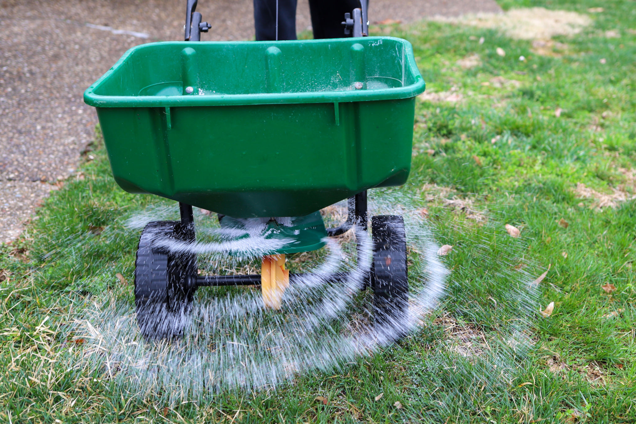 fall fertilizing lawn