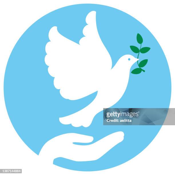 a hand with dove of peace holding an olive branch. peace symbol. - white pigeon stock illustrations