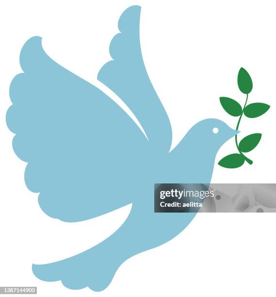 a dove of peace holding an olive branch. peace symbol. - pigeon stock illustrations