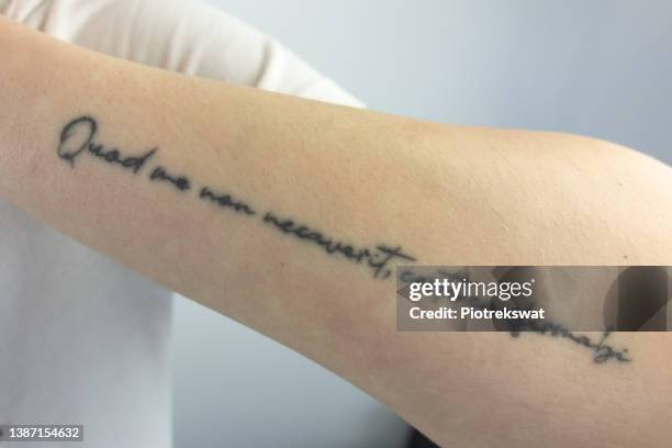 quote tattoo tatuaje estrellas mejor estudio tatuajes sevilla numero uno best tattoo shop sevilla fineline dotwork traditional linea fina realismo tradicional