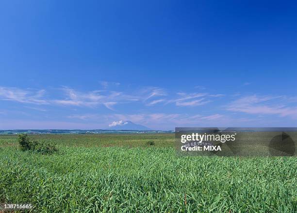 26 Sarobetsu Stock Photos, HighRes Pictures, and Images Getty Images
