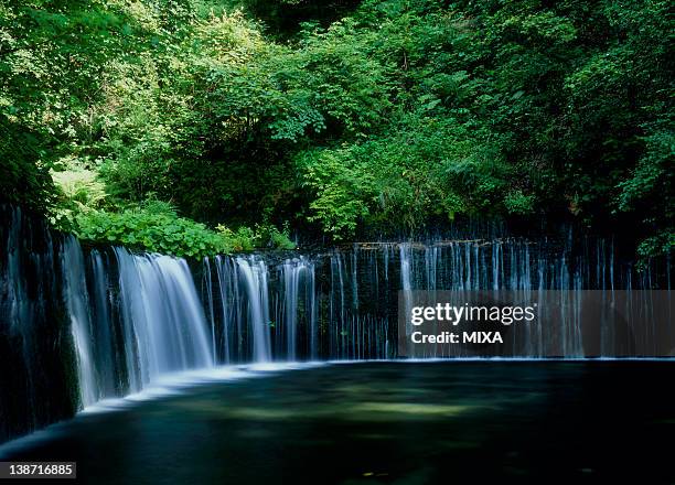 shiraito waterfall, karuizawa, nagano, japan - karuizawa stock-fotos und bilder