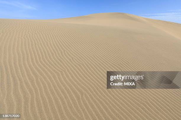 tottori sand dunes, tottori, tottori, japan - tottori prefecture stock pictures, royalty-free photos & images