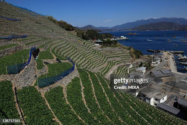 Uwajima Ehime StockFotos und Bilder Getty Images