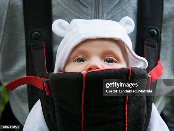 baby boy in carrier - parental leave stock pictures, royalty-free photos & images