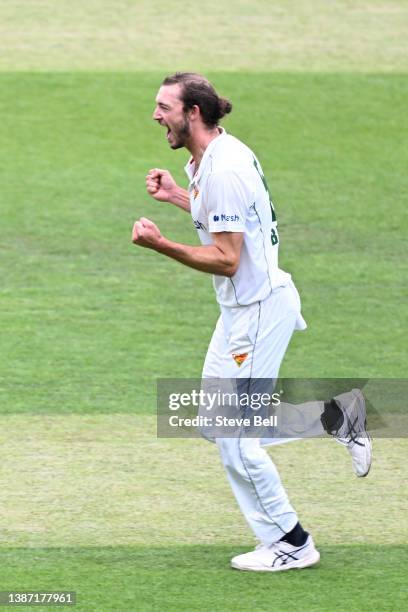 Gabe Bell of the Tigers celebrates the wicket of Sam Truloff of the Bulls during day one of the Sheffield Shield match between Tasmanian Tigers and...