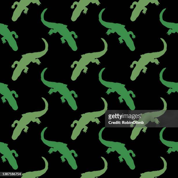52 Sator Square High Res Vector Graphics - Getty Images