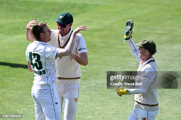 Sam Rainbird of the Tigers celebrates his fifth wicket of the innings by dismissing Jimmy Peirson of the Bulls during day one of the Sheffield Shield...