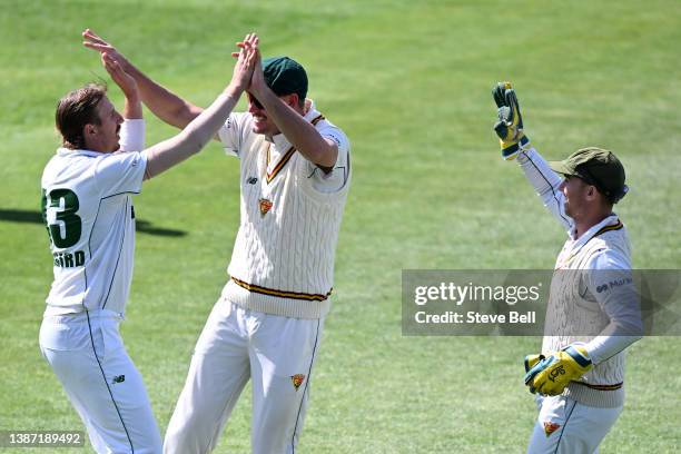 Sam Rainbird of the Tigers celebrates his fifth wicket of the innings by dismissing Jimmy Peirson of the Bulls during day one of the Sheffield Shield...