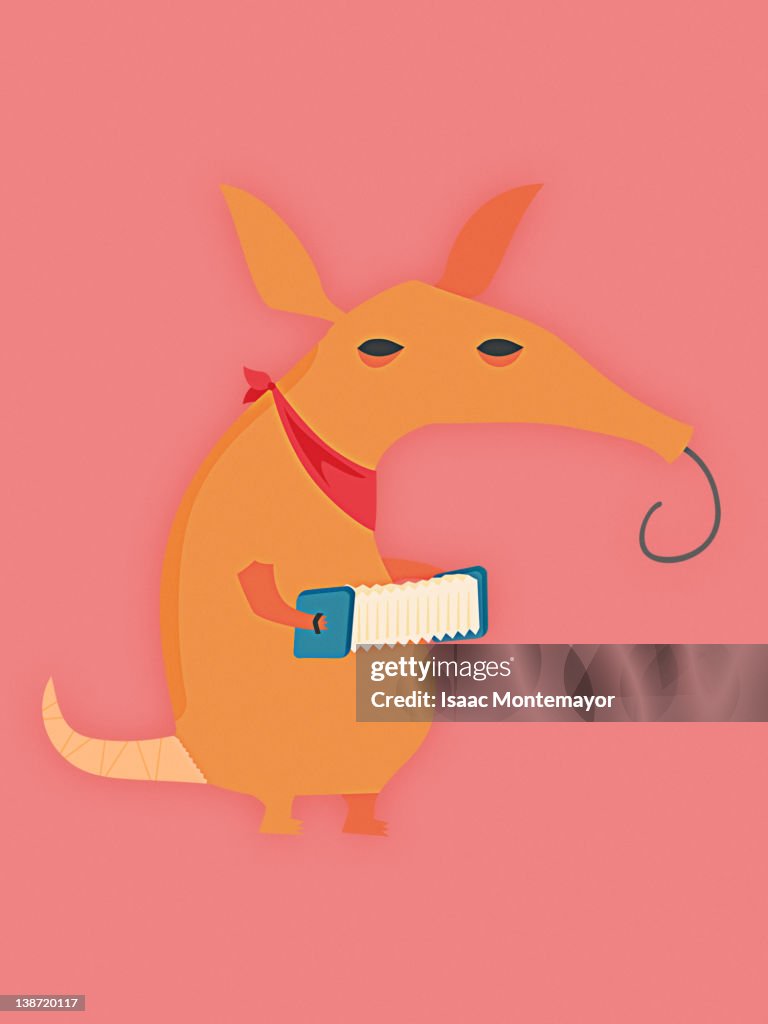 Aardvark with an accordion