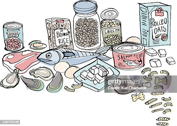 canned goods, oats, chicken, pasta, seafood, meat, eggs - salmon brown rice stock illustrations