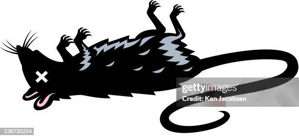 ilustraciones, imágenes clip art, dibujos animados e iconos de stock de a dead rat - animal muerto