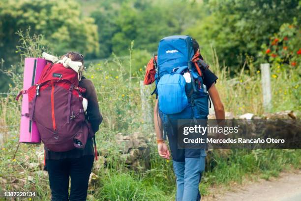 'camino de santiago', galicia, españa, vista trasera de dos peregrinos. - peregrino fotografías e imágenes de stock