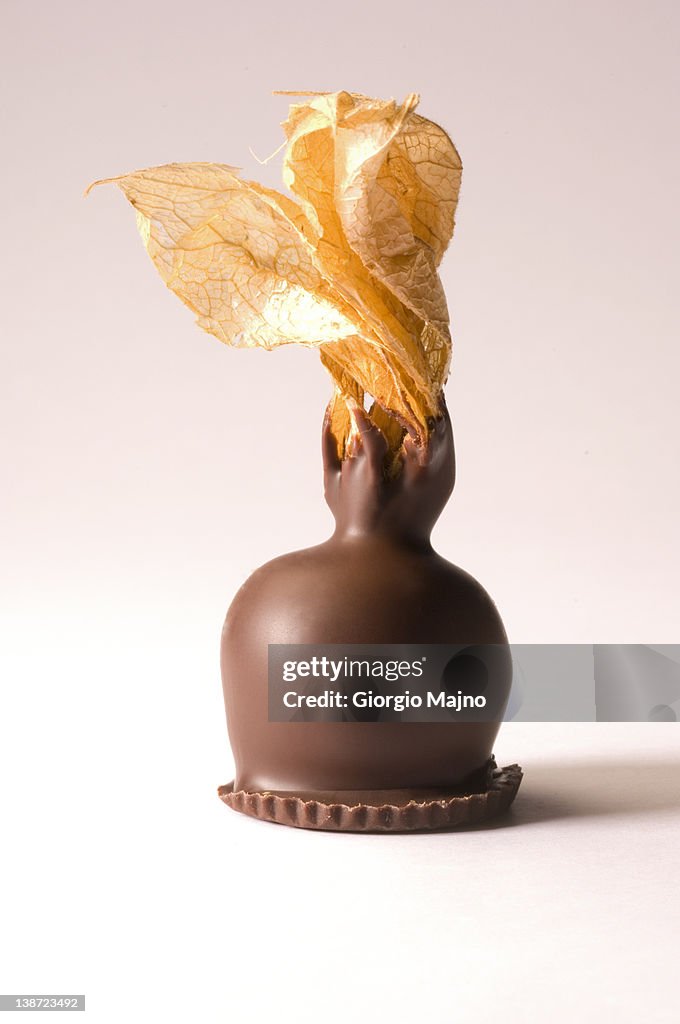 Chocolate coated winter cherry.