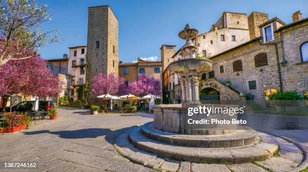 a beautiful square with flowering trees in the heart of the etruscan and medieval city of viterbo in central italy - provinsen viterbo bildbanksfoton och bilder