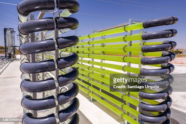 tubular bioreactors filled with green algae fixing carbon dioxide - carbon capture stock pictures, royalty-free photos & images
