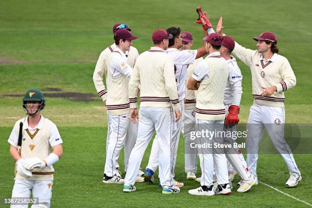 Blake Edwards of the Bulls celebrates the wicket of Jordan Silk of the Tigers during day one of the Sheffield Shield match between Tasmanian Tigers...
