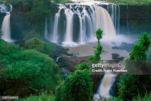blue nile falls, ethiopia - ethiopia imagens e fotografias de stock