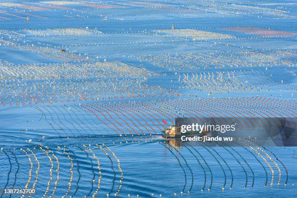a fishing boat and large-scale aquaculture of aquatic products in marine fisheries - green economy stockfoto's en -beelden