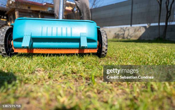 spring activity, sowing and fertilizing to improve the lawn. romania transylvania. - lawn fertilizer stock pictures, royalty-free photos & images