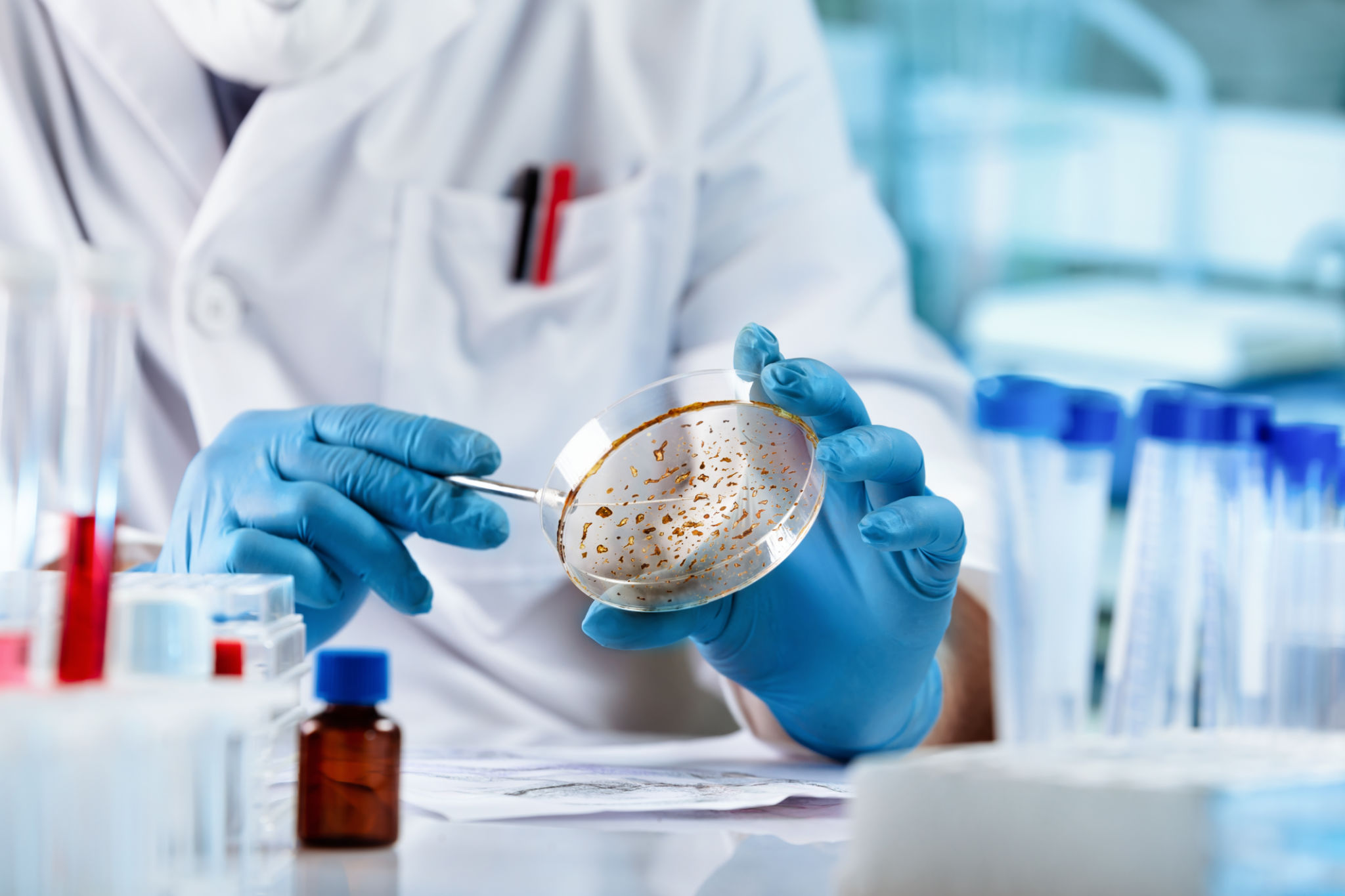 mold test