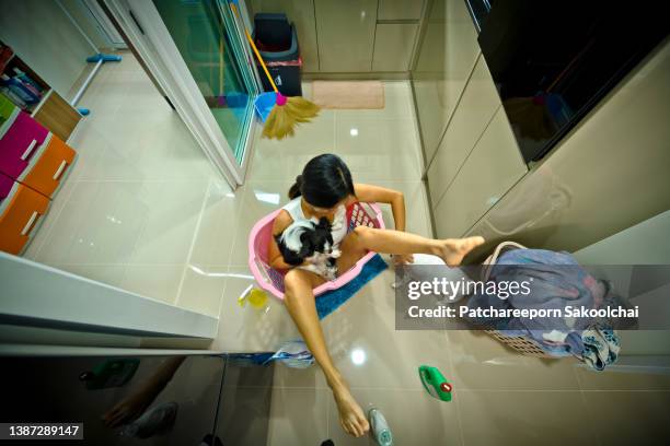 woman sitting in laundry basket - daily bucket foto e immagini stock