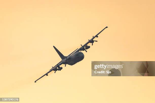 lockheed c-130 hercules military airplane flying in mid air during sunset - c 130 hercules stock pictures, royalty-free photos & images