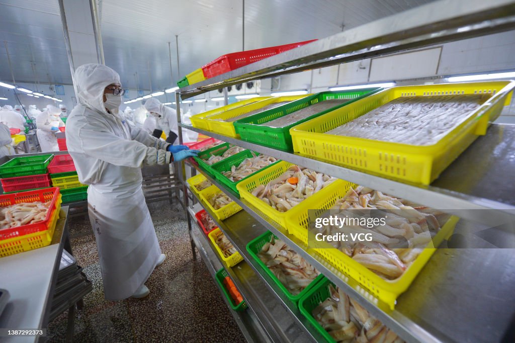 Cod Fish Processing Plant Workers process cod fish at a plant on March 23, 2022 in Qingdao ...