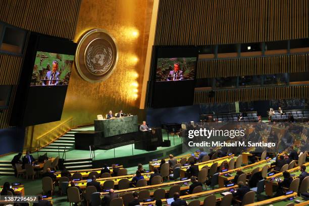 Sergiy Kyslytsya, Permanent Representative of Ukraine to the United Nations, addresses the United Nations General Assembly during a special session...