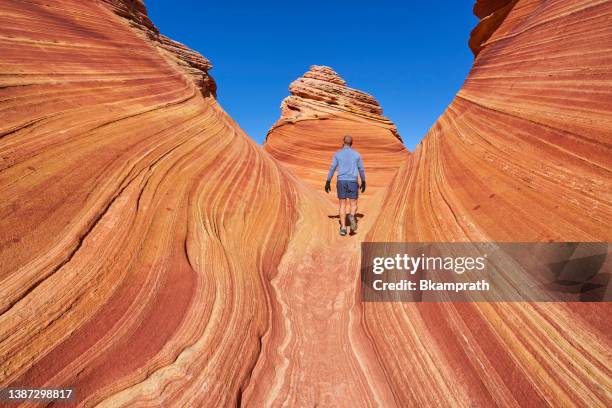 wanderer erkunden die berühmte welle der coyote buttes north im paria canyon-vermilion cliffs wilderness des colorado plateau im süden von utah und im norden von arizona usa - the wave coyote buttes stock-fotos und bilder