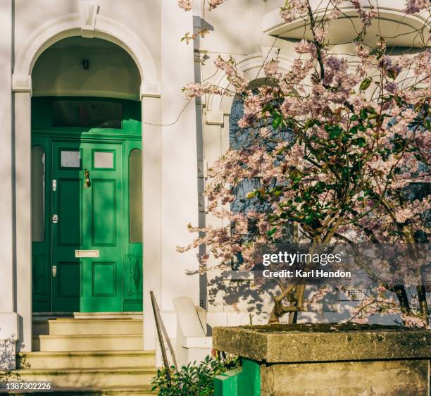 spring blossom outside a london townhouse - front door stock pictures, royalty-free photos & images