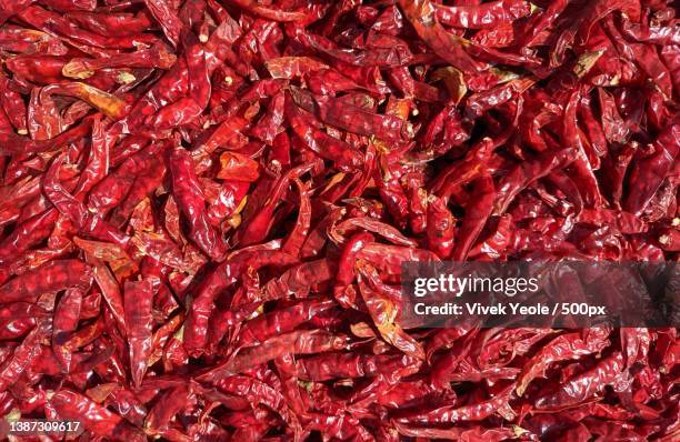 red chilli spicy food in india - chilli stock pictures, royalty-free photos & images