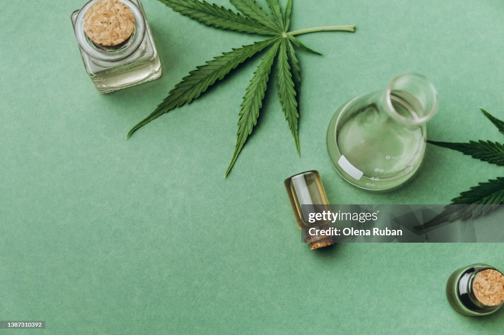 Green cannabis leaves and CBD oil jars on green background.