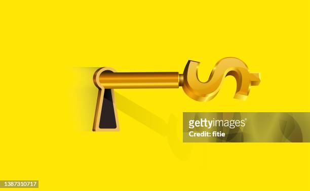 golden key with dollar sign,put the dollar sign key into the keyhole - computer key stock illustrations