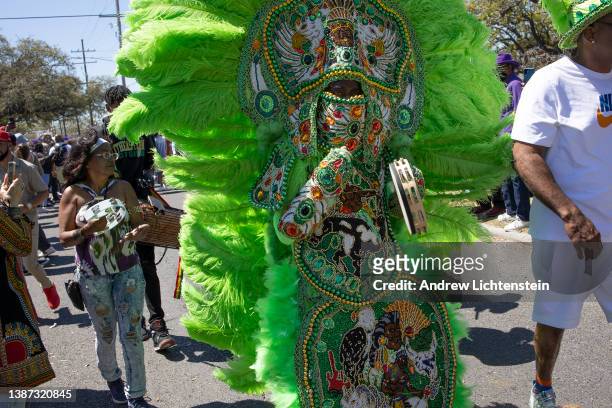 The Mardi Gras Indians, a deeply rooted cultural tradition of African-American life, prepare for the traditional Super Sunday parade when they walk...