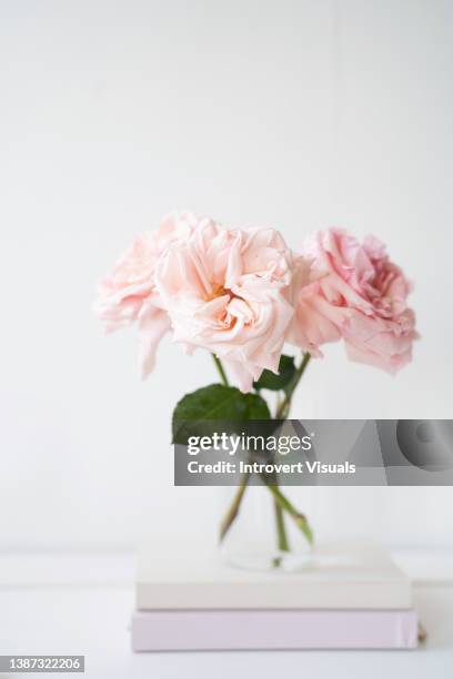 blush pink garden roses in a glass vase on books - flowers vase ストックフォトと画像