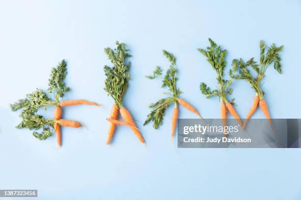 cute small carrots with tops shaped to spell out the word farm - tuber stock pictures, royalty-free photos & images