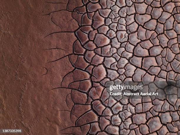 edge of a cracked salt pan photographed from directly above, salar de uyuni, bolivia - ausgedörrt stock-fotos und bilder