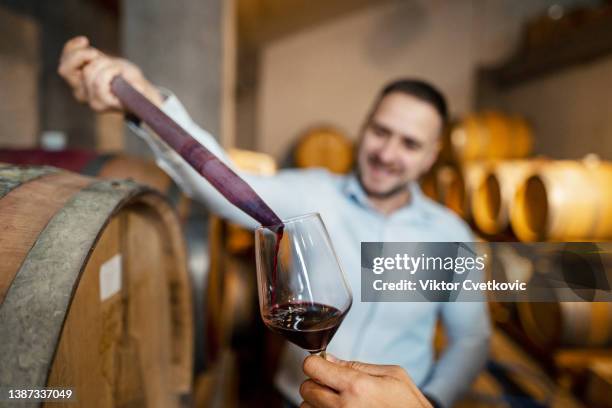 vintner taking sample of red wine in wine cellar - examining wine stock pictures, royalty-free photos & images