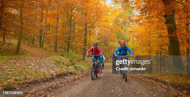 young friends mountain biking in autumn forest - season change stock pictures, royalty-free photos & images