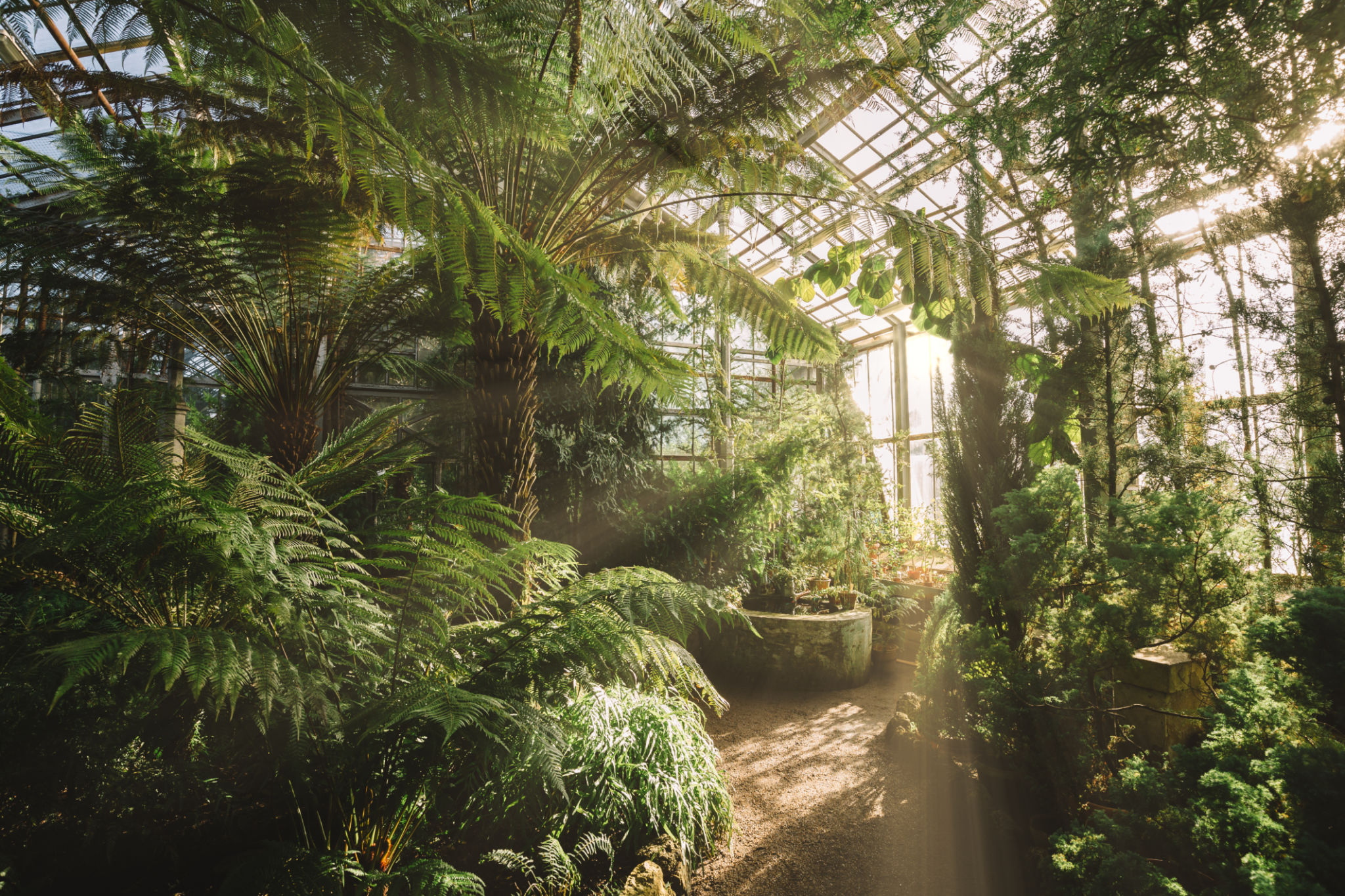 tropical greenhouse
