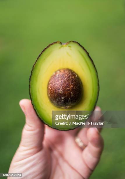 avocado half - avocado stock pictures, royalty-free photos & images