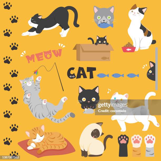 set von katzen. süße katzen, katzenpfoten, fußabdrücke. - raubkatze stock-grafiken, -clipart, -cartoons und -symbole