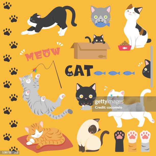 ilustraciones, imágenes clip art, dibujos animados e iconos de stock de conjunto de gatos. lindos gatos, patas de gato, huellas. - undomesticated cat