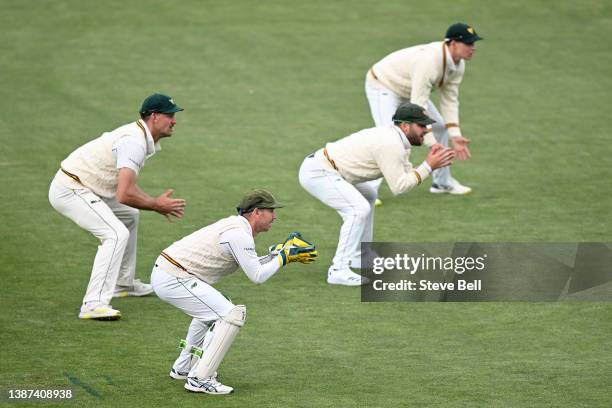 Jake Doran of the Tigers in action during day two of the Sheffield Shield match between Tasmanian Tigers and Queensland Bulls at Blundstone Arena, on...